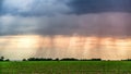 Rain over green field panorama in sunset in summer Royalty Free Stock Photo