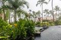 Rain in paradise, Oahu Royalty Free Stock Photo