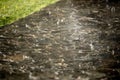 rain in the parking lot with car Royalty Free Stock Photo