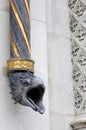 Rain spout at the castle in in Blois Royalty Free Stock Photo