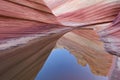 Rain Pool Coyote Buttes Royalty Free Stock Photo