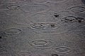 Rain Puddle Royalty Free Stock Photo