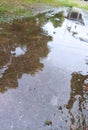 Rain pudlles  in front of my house radiate nice view in this morning Royalty Free Stock Photo