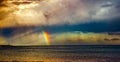 Rain with rainbow and seaguls on the sea