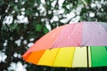 Rain On Rainbow Umbrella. Colored umbrella under rain on nature.