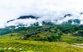 Sapa - Rice Terrace field VietNam Royalty Free Stock Photo