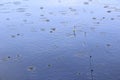 Rain on river during fishing. Drops of water fall on surface of river during rain Royalty Free Stock Photo