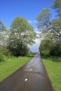 After the rain, the road is wet in spring.