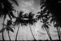 Rain season monsoon on tropical island beach water drops on the glass and palm trees Royalty Free Stock Photo