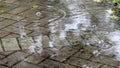 Rain on sidewalk puddle