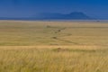 Rain storm approaching Serengeti savannah Plains at Serengeti National Park