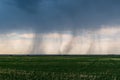 Rain Storm Clouds Stunning Landscape Over Prairie, Canada Royalty Free Stock Photo