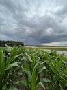 Rain storm Royalty Free Stock Photo