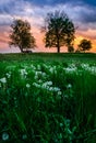 After rain sunset on the hill in meadow Royalty Free Stock Photo