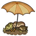 Rain toads under an umbrella. Comfort and warmth in the family. Family of jodhed frogs.