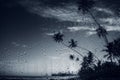 Rain on tropical island beach. Water drops on the glass and dark palm trees