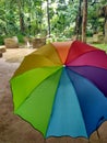 Rain and the umbrella Royalty Free Stock Photo