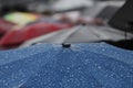 Rain umbrella with rain drops Royalty Free Stock Photo