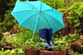 Rain umbrella rubber boots Royalty Free Stock Photo