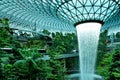 Rain Vortex, the world`s tallest indoor waterfall at Jewel Changi Airport. Green forest in the mall and skytrain. Iconic landmark