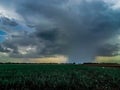 Rain wall. Royalty Free Stock Photo