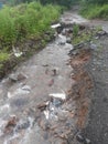 rain-washed asphalt road