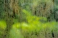 Rain water drop on glass window in rainy day with blurred green garden background Royalty Free Stock Photo