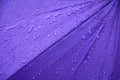 Rain water drop on purple umbrella background with copy space Royalty Free Stock Photo