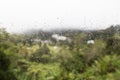 Rain water droplets on glass window with scenic greenery view Royalty Free Stock Photo