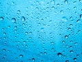 Rain water Drops. Royalty Free Stock Photo