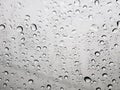 Rain water Drops. Royalty Free Stock Photo