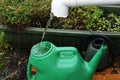 A green plastic watering can is being filled from a rain water spout, it is collecting the rain water Royalty Free Stock Photo