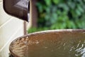 Rain water flows from a plastic drainpipe to the metal barrel in garden