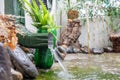 Rain water is pouring from the green draining gutter on the mossy ground Royalty Free Stock Photo