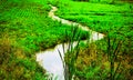 Rain water running off of a field, forming a stream as it heads to a ditch on a back road in Hartsgrove, Ohio