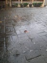 Rain water wets the stone floor, leaves are scattered around Royalty Free Stock Photo