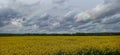 Rainbow Above Blooming Rapeseed Field.  Natural Landscape Background in Europe in Early Spring, Royalty Free Stock Photo