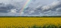 Rainbow Above Blooming Rapeseed Field.  Natural Landscape Background in Europe in Early Spring, Royalty Free Stock Photo