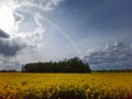 Rainbow Above Blooming Rapeseed Field.  Natural Landscape Background in Europe in Early Spring Royalty Free Stock Photo
