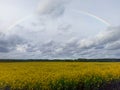 Rainbow Above Blooming Rapeseed Field.  Natural Landscape Background in Europe in Early Spring Royalty Free Stock Photo