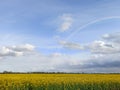 Rainbow Above Blooming Rapeseed Field. Royalty Free Stock Photo