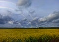 Rainbow Above Blooming Rapeseed Field. Royalty Free Stock Photo
