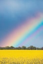 Rainbow Above Rural Landscape With Blossom Of Canola Colza Yellow Flowers. Rapeseed, Oilseed Field Meadow. Royalty Free Stock Photo