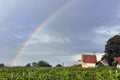 Rainbow above vineyard
