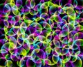 Rainbow abstract pattern. Geometric print composed of colorful circles on black background. Soap bubbles. Royalty Free Stock Photo