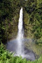 Rainbow at Akaka Falls, Hawaii Royalty Free Stock Photo