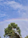A rainbow appeared above the green trees in the bright blue sky. Royalty Free Stock Photo