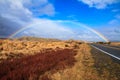 Rainbow arch over tussock and desert road