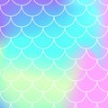 Rainbow Background. Mermaid Scales. Vector Royalty Free Stock Photo