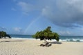 Rainbow Behind the Iconic Divi Divi Tree in Aruba Royalty Free Stock Photo